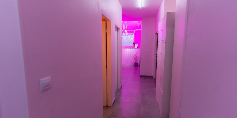 Výstava The Pop Up!