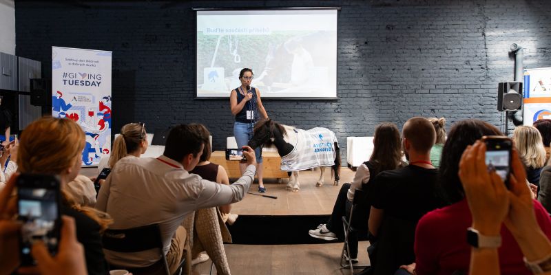 Vnitroblock - Stage v Blocku