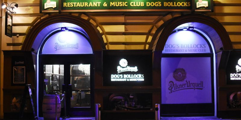 Dog's Bollocks