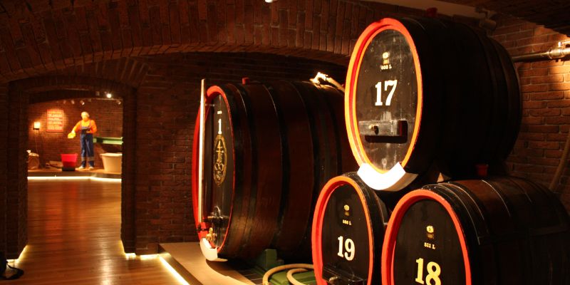 Carlsbad Convention Bureau, o.p.s.