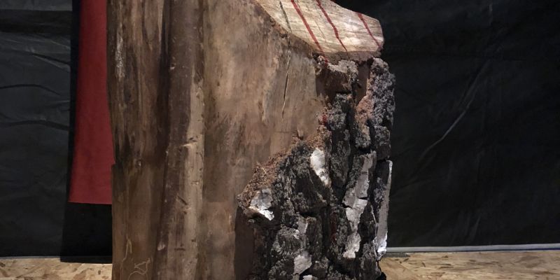 Escape Zone - mobilní únikové a detektivní hry