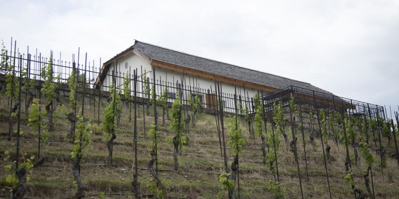 Botanická zahrada hl.m. Prahy - Viniční domek