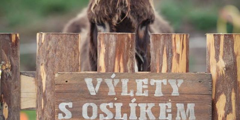 Využijte své motivační schopnosti jako (oslo)vůdce