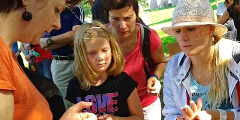 MOBILNÍ KREATIVNÍ VÝTVARNÉ DÍLNY - Quilling – tvoření z proužků papíru