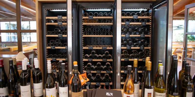 Amenity Penzion Horní Věstonice - Vinný sklípek