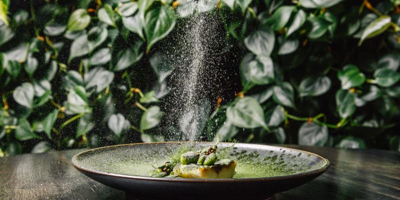 Resort Hodolany - Entrée Restaurant