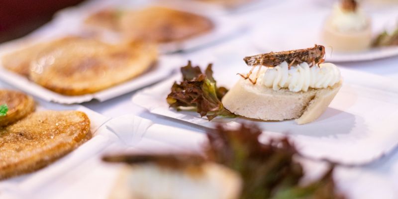 Bar and cocktail catering