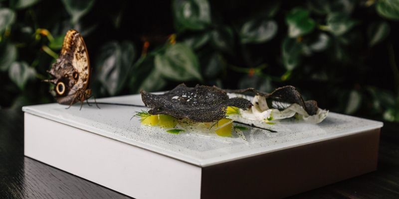 Resort Hodolany - Entrée Restaurant