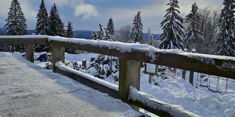 Nezapomenutelná firemní akce? Hotel Královka je vaše jistota!