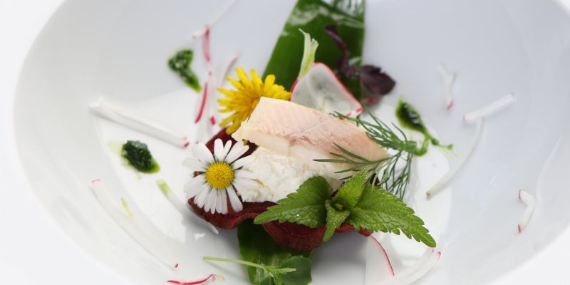 Catering VYŠEHRAD 2000 a.s.