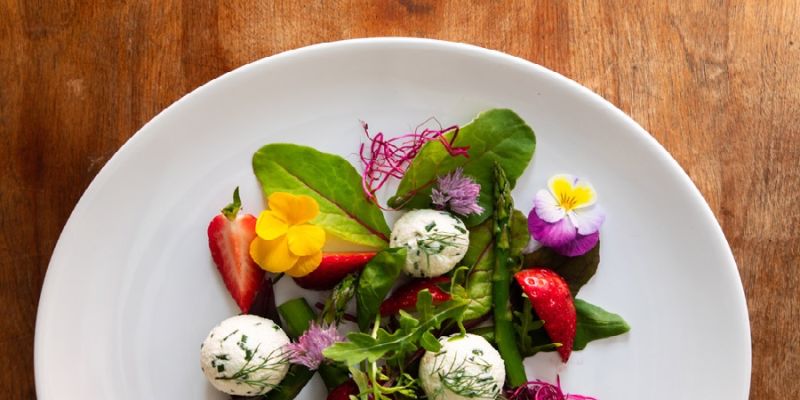 Legner Hotel Zvánovice - Lesní lázně