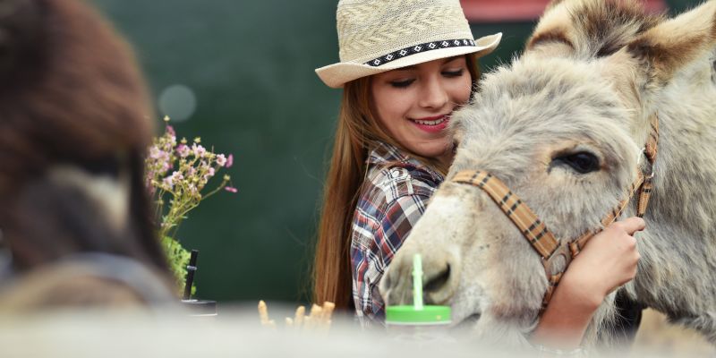 Využijte své motivační schopnosti jako (oslo)vůdce