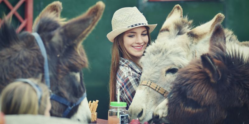Využijte své motivační schopnosti jako (oslo)vůdce
