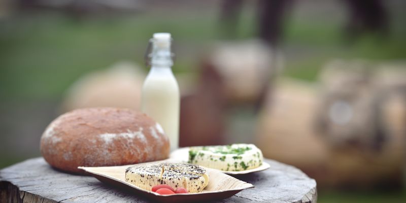 Využijte své motivační schopnosti jako (oslo)vůdce