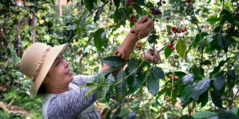 Firemní dobrovolnictví může být váš příští teambuilding