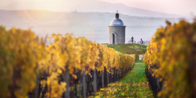 Na jižní Moravu! Kam jinam?