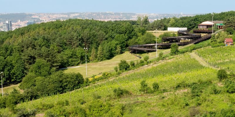 Restaurace Bobovka