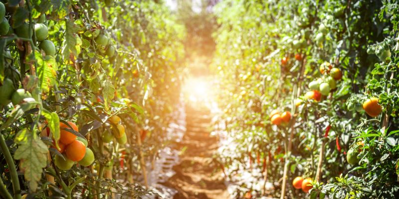 Firemní dobrovolnictví může být váš příští teambuilding