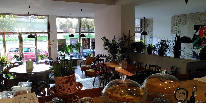 Kino Atlas & Café Atlas rostlin