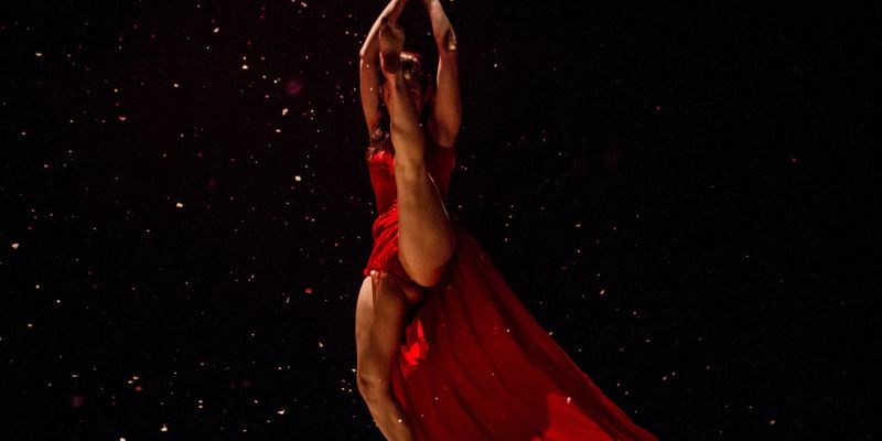 Losers Cirque Company - United Arts