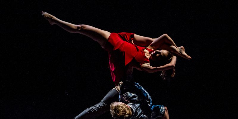 Losers Cirque Company - United Arts