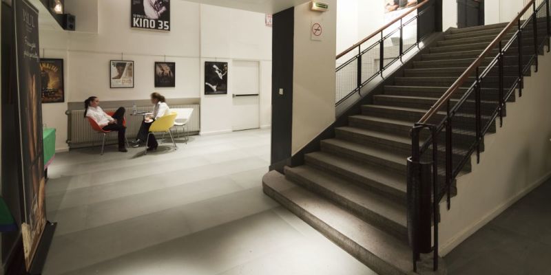 Francouzský institut