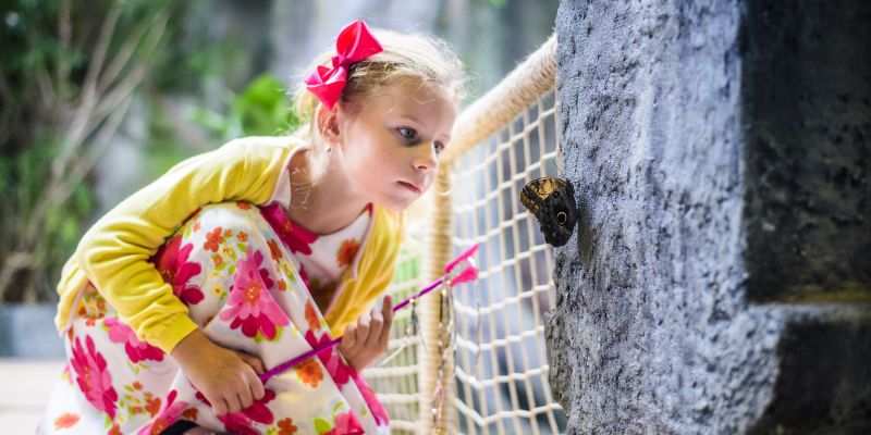 The Playground – Unikátní zábavní prostor v centru Prahy
