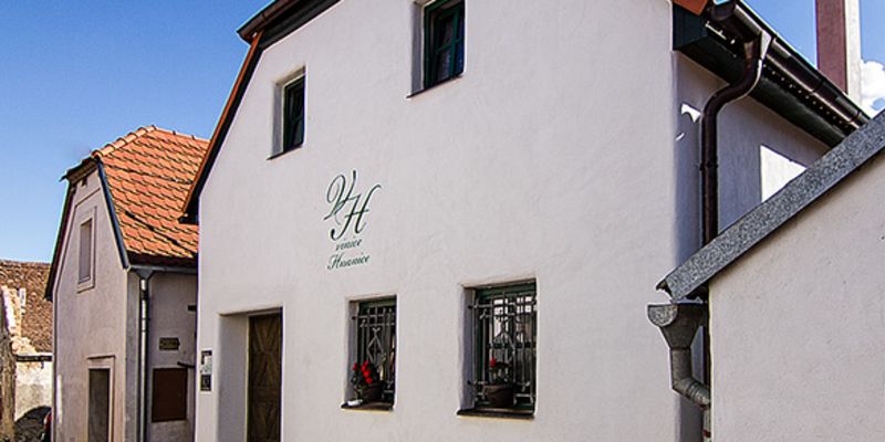 Hotel Vinice Hnanice