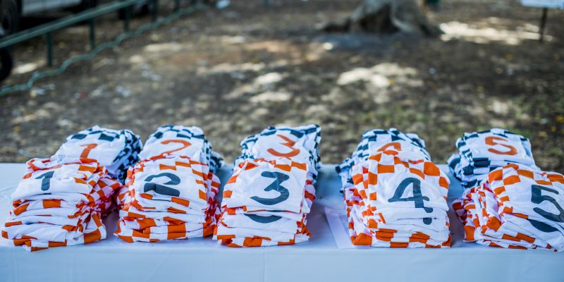 Flat Out F1 - Flat Out F1