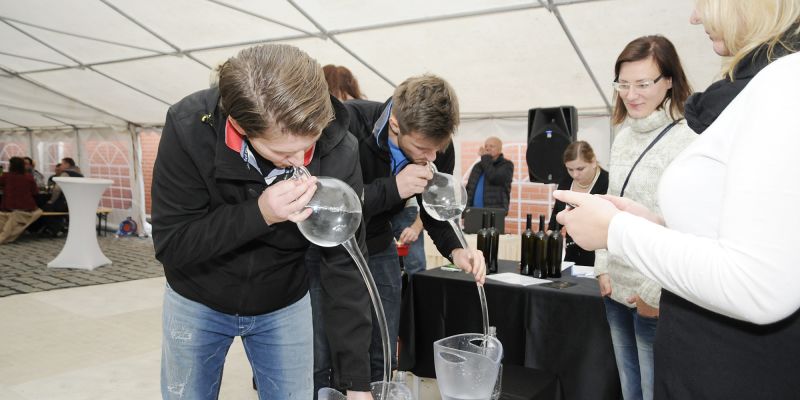 Zážitkový okruh  po Českém středohoří – ideální doplnění Vašich incentivních nabídek