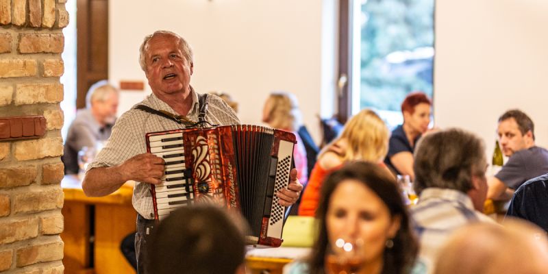 Vinařství San Marco