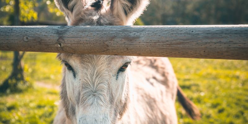 Romantický Hotel Mlýn Karlštejn