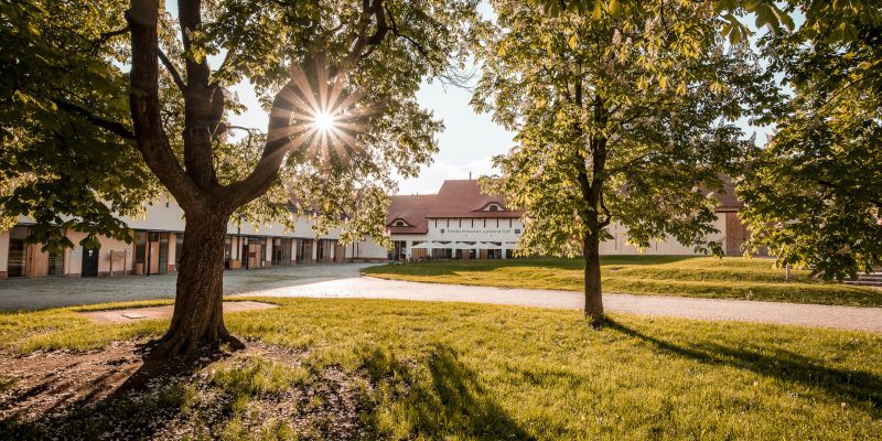 Panský dvůr Telč - Dvůr