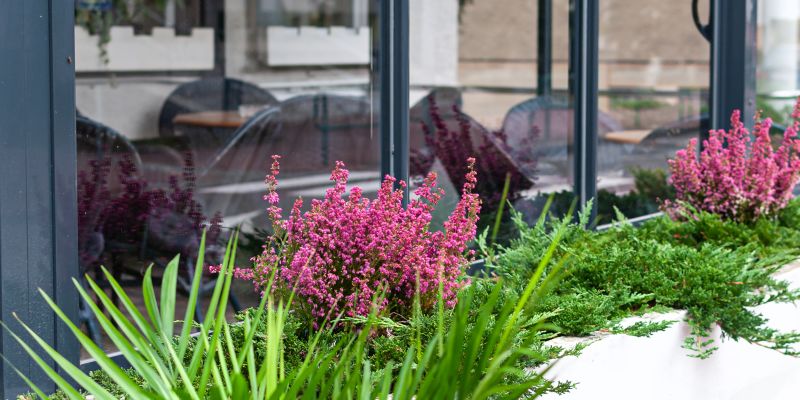 Hotel a restaurace Monaco