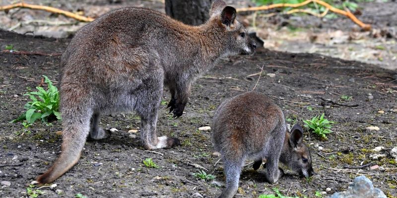 Cesta do Itálie… pár kilometrů od Prahy? V Resortu Svět to není sen, ale realita