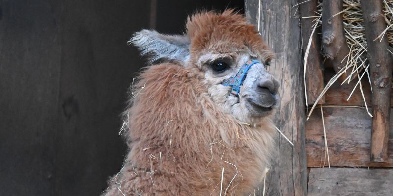 Cesta do Itálie… pár kilometrů od Prahy? V Resortu Svět to není sen, ale realita