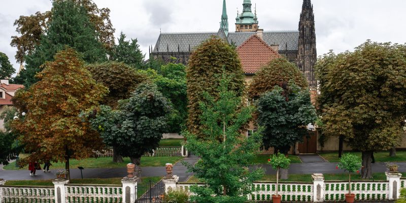 Restaurant Lví Dvůr