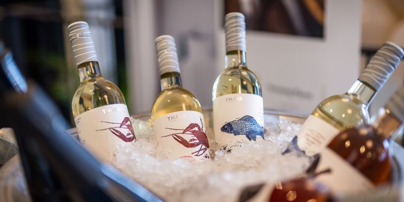 EVENT VENUE EXPERIENCE dne 6. února 2025 na Občanské plovárně