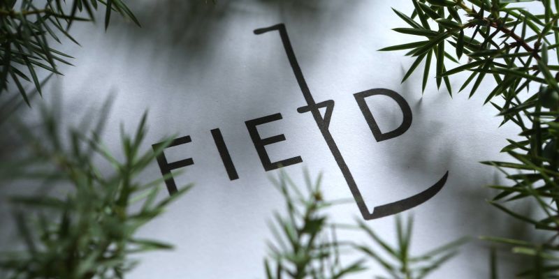 FIELD