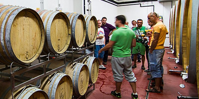 Hotel Vinice Hnanice