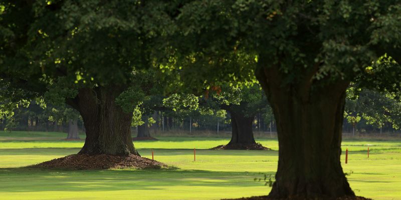 Resort Panství Bechyně - Golfové hřiště