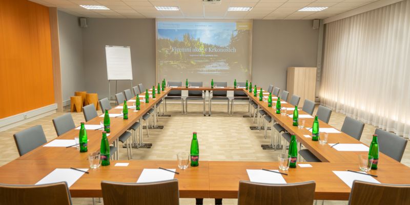Hotel SAVOY & SOYKA - Konferenční místnost hotel Savoy