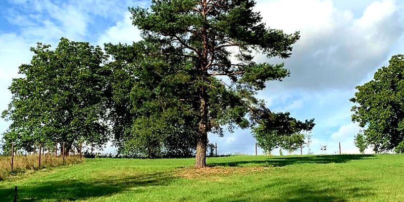 Usedlost Nouzov - vzdělávací a relaxační centrum