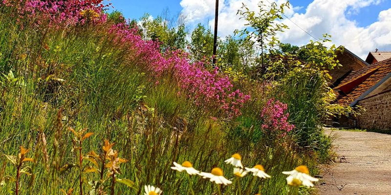 Usedlost Nouzov - vzdělávací a relaxační centrum