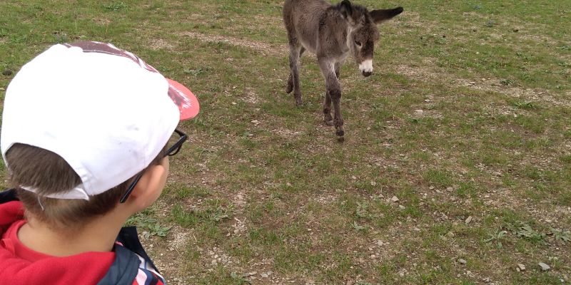 Využijte své motivační schopnosti jako (oslo)vůdce