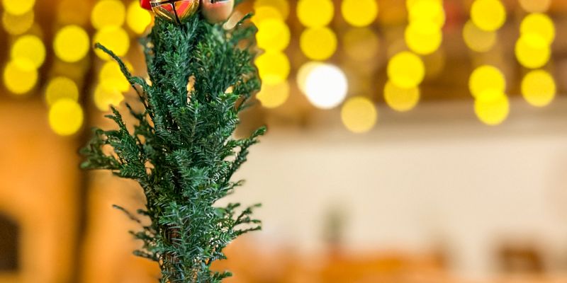 Místo pro vánoční večírek? V Resortu Svět vás čeká zimní atmosféra, pestrý program a zázemí, na které se můžete spolehnout.