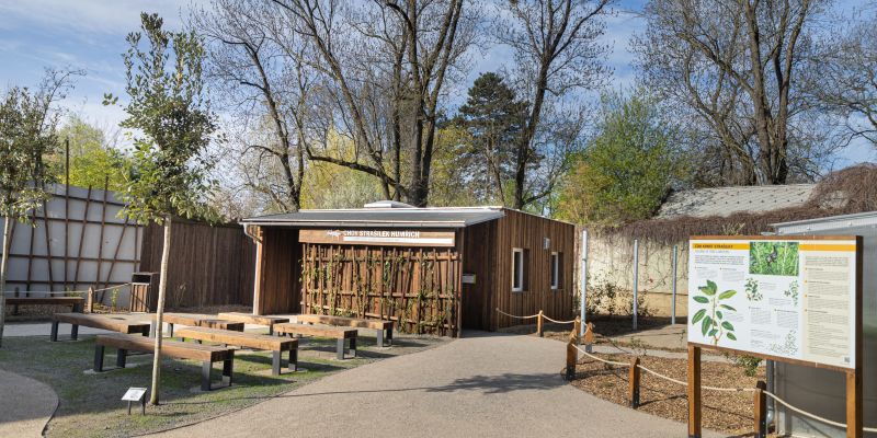 Zoologická zahrada hl. m. Prahy - Ballova pyramida