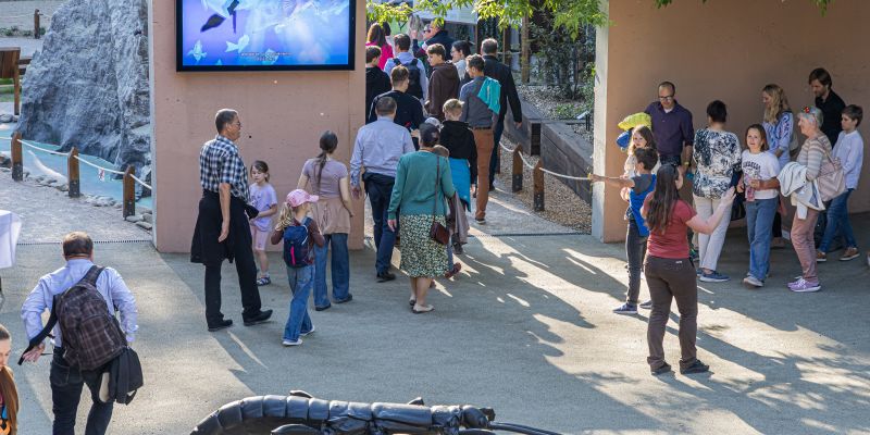 Zoologická zahrada hl. m. Prahy - Ballova pyramida