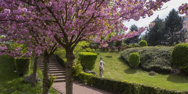 Top Hotel Praha - Japonská zahrada
