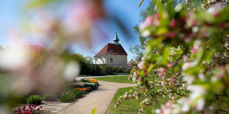 Botanická zahrada hl.m. Prahy - Vinice svaté Kláry